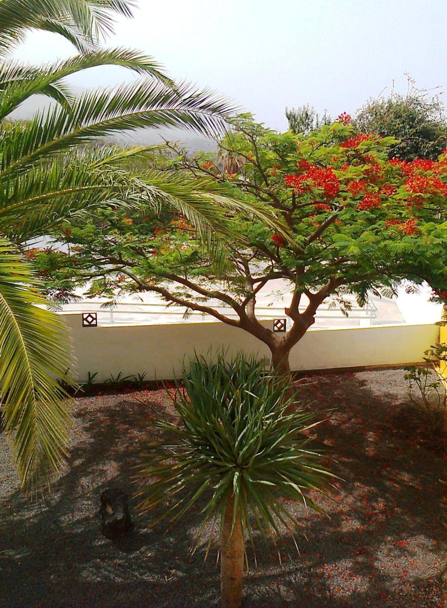 Vv Complejo Vacacional Villamaria Los Llanos De Aridane Luaran gambar