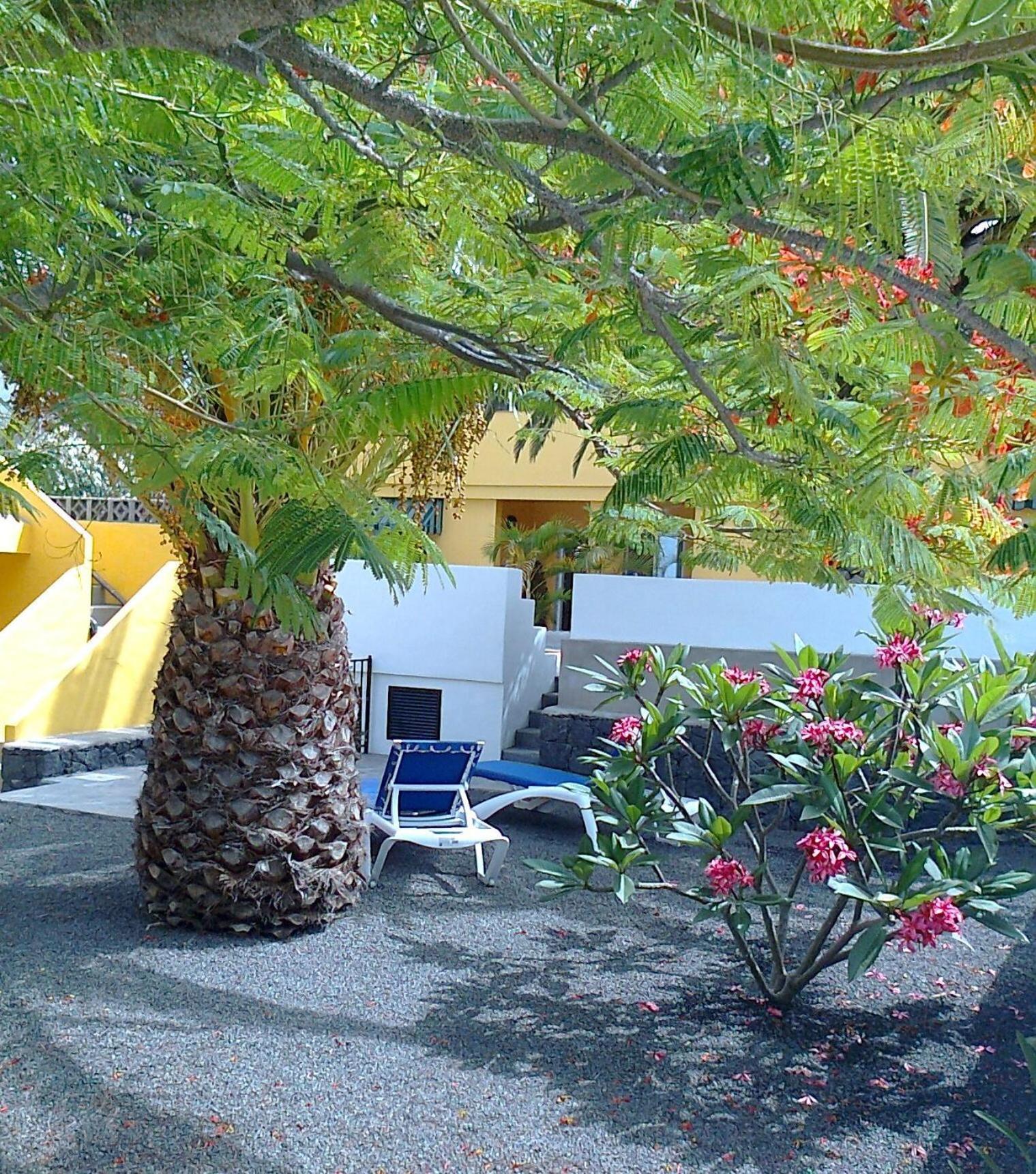 Vv Complejo Vacacional Villamaria Los Llanos De Aridane Luaran gambar