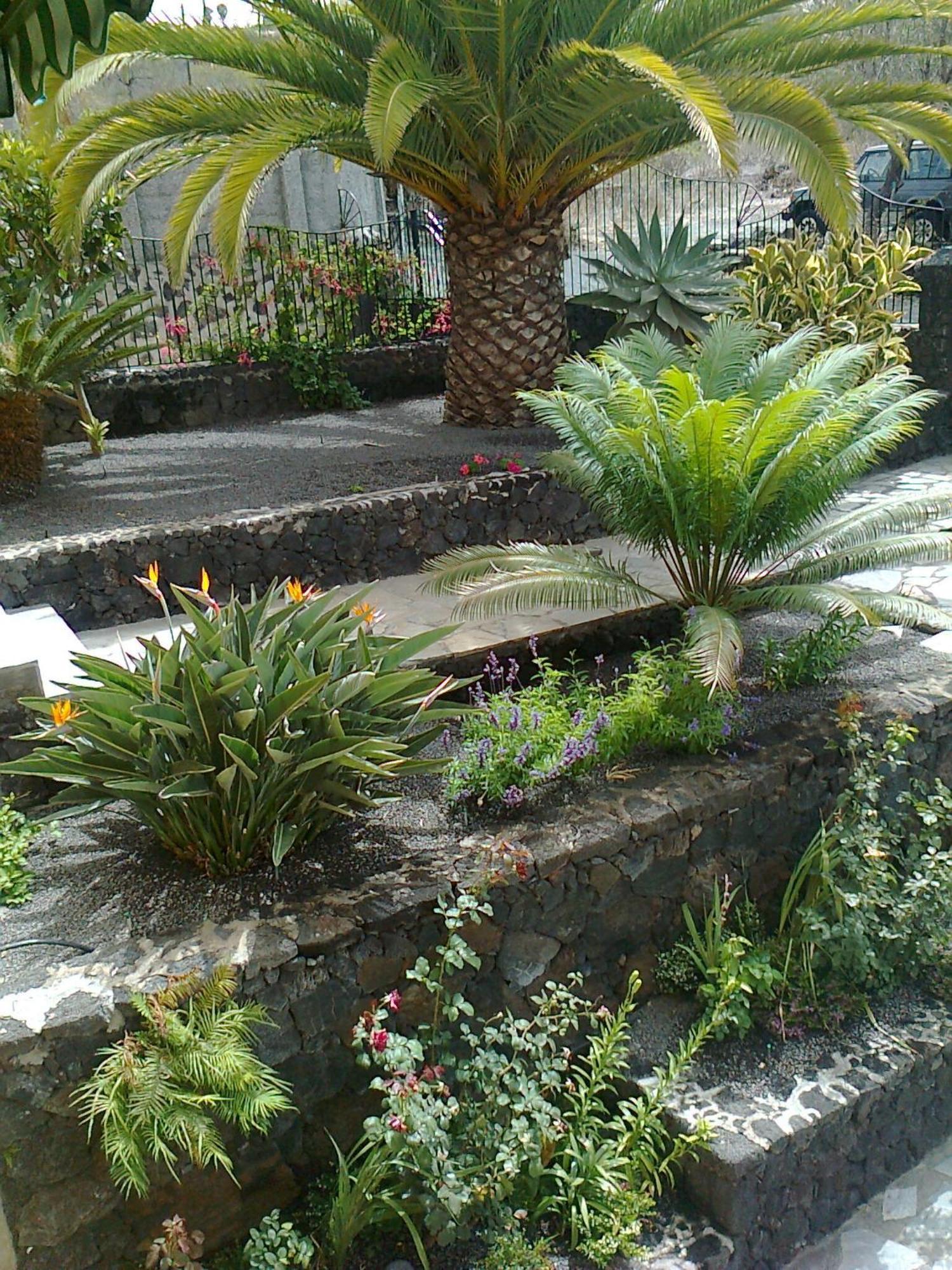 Vv Complejo Vacacional Villamaria Los Llanos De Aridane Luaran gambar